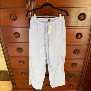 J. Crew Light Blue Pants